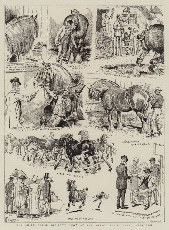 Shire Horse Society Show i Agricultural Hall, Islington av Alfred Chantrey Corbould