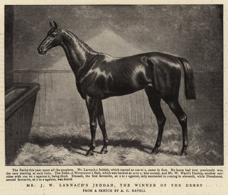 Mr J W Larnachs Jeddah, vinneren av derbyet av Alfred Charles Havell