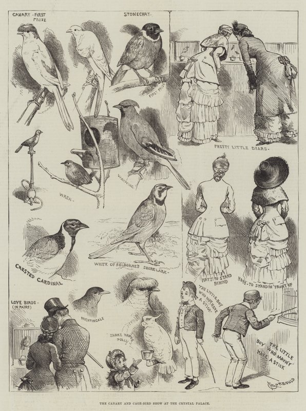 The Canary and Cage-Bird Show på Crystal Palace av Alfred Courbould