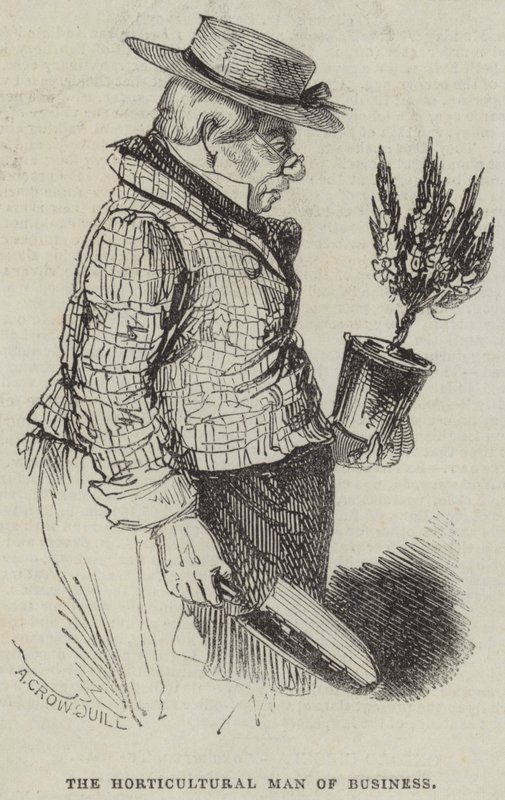 Næringslivets hagebruksmann av Alfred Crowquill