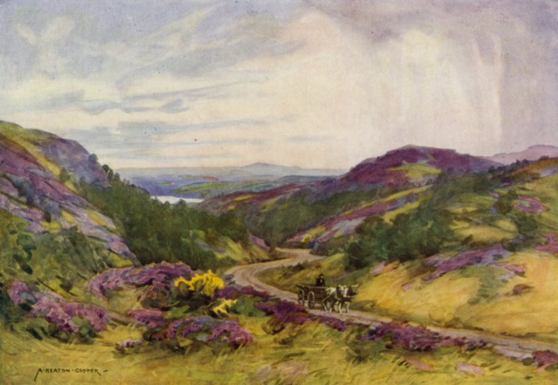 Danmark: Raebild Hills, nær Aalborg (farge litho) av Alfred Heaton Cooper