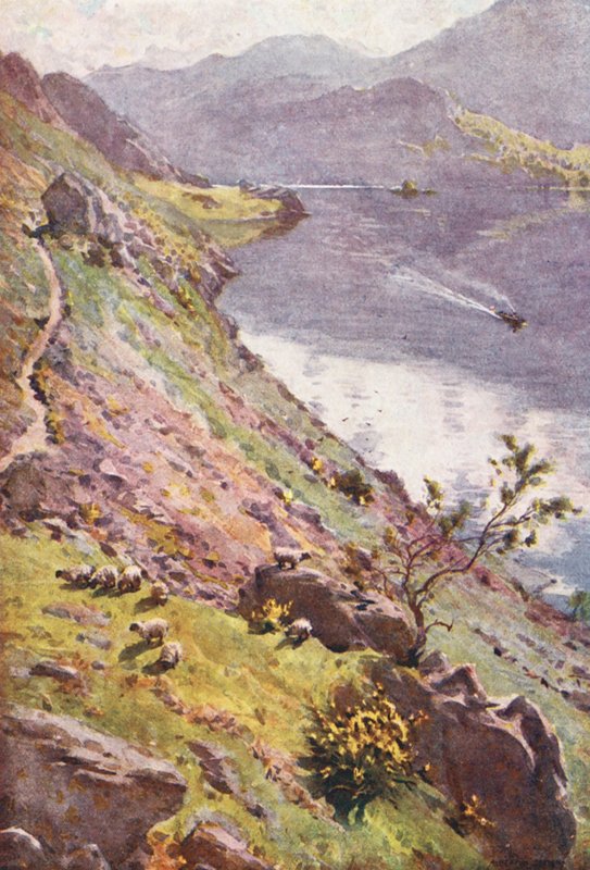  av Alfred Heaton Cooper