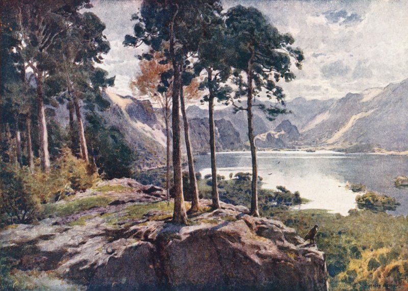 Lake District: Derwentwater, fra Castle Head, en lys morgen (fargelitografi) av Alfred Heaton Cooper