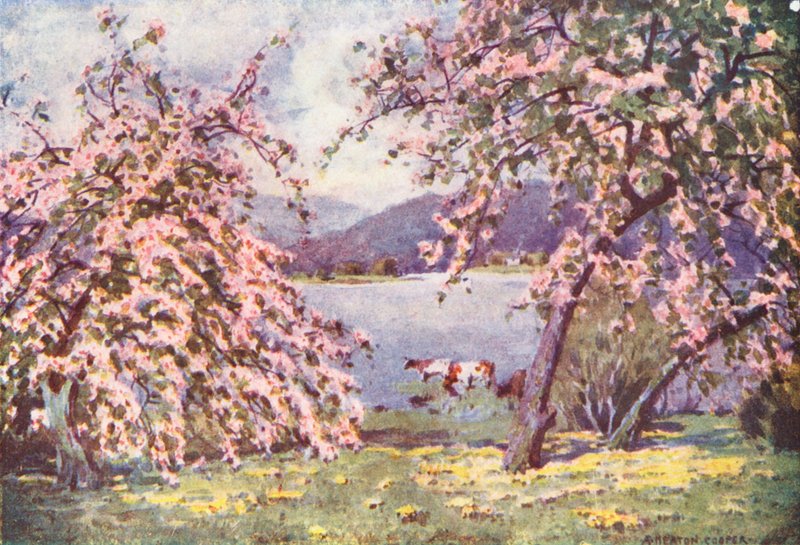  av Alfred Heaton Cooper
