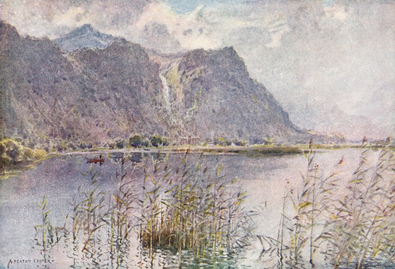  av Alfred Heaton Cooper