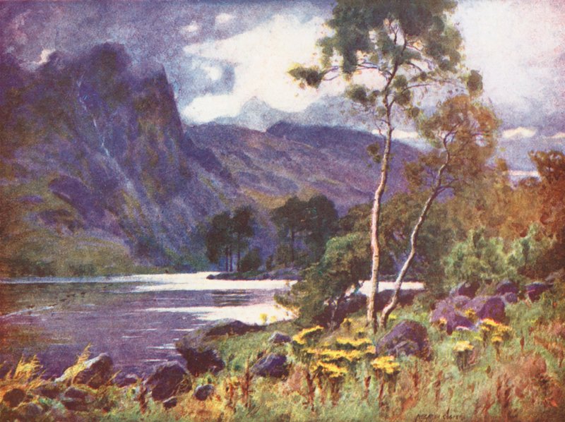  av Alfred Heaton Cooper