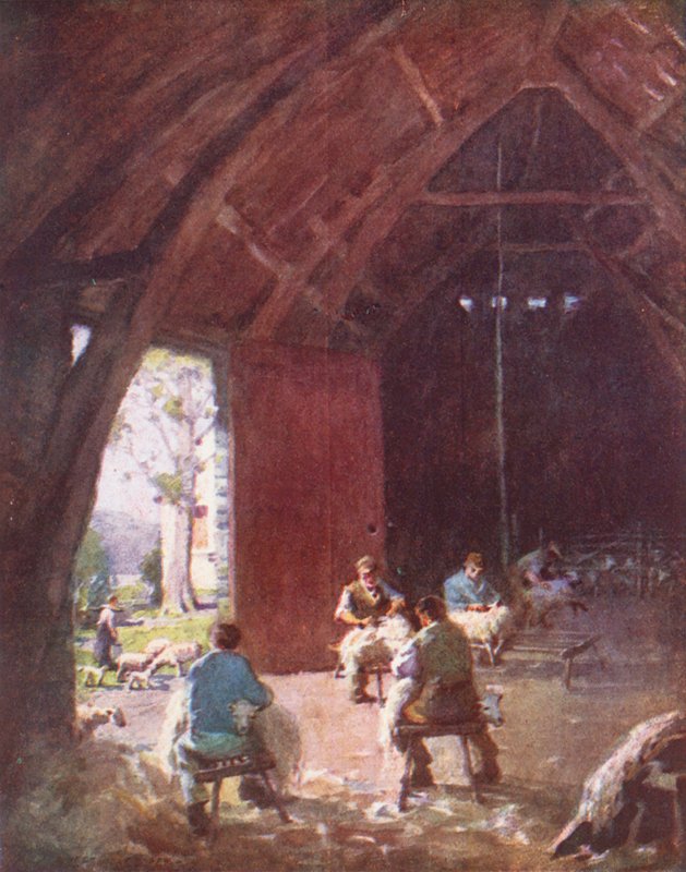 Lake District: Saueklipping, Esthwaite Hall Farm (fargelitografi) av Alfred Heaton Cooper