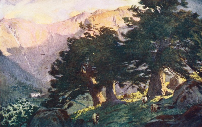  av Alfred Heaton Cooper