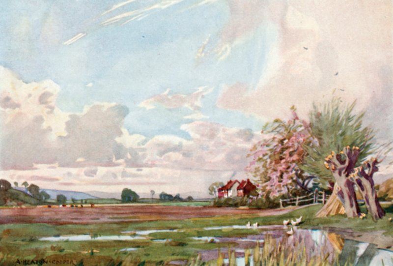 Isle of Athelney (farge litho) av Alfred Heaton Cooper