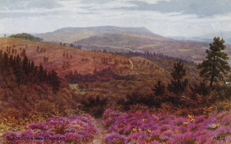 Blackdown fra bakhodet av Alfred Robert Quinton