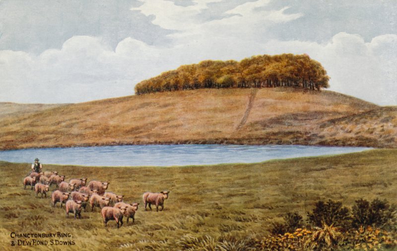 Chanctonbury Ring og Dew Pond, S Downs av Alfred Robert Quinton