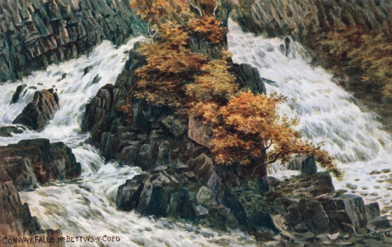 Conway Falls, nr. Bettws-y-Coed av Alfred Robert Quinton