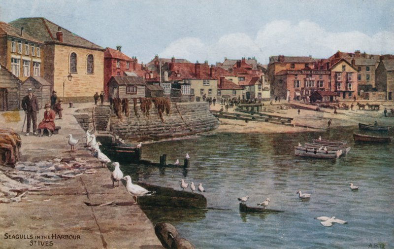 Måker i havnen, St Ives, Cornwall av Alfred Robert Quinton