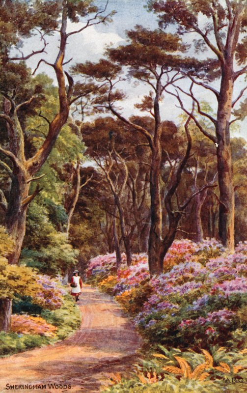 Sheringham Woods av Alfred Robert Quinton