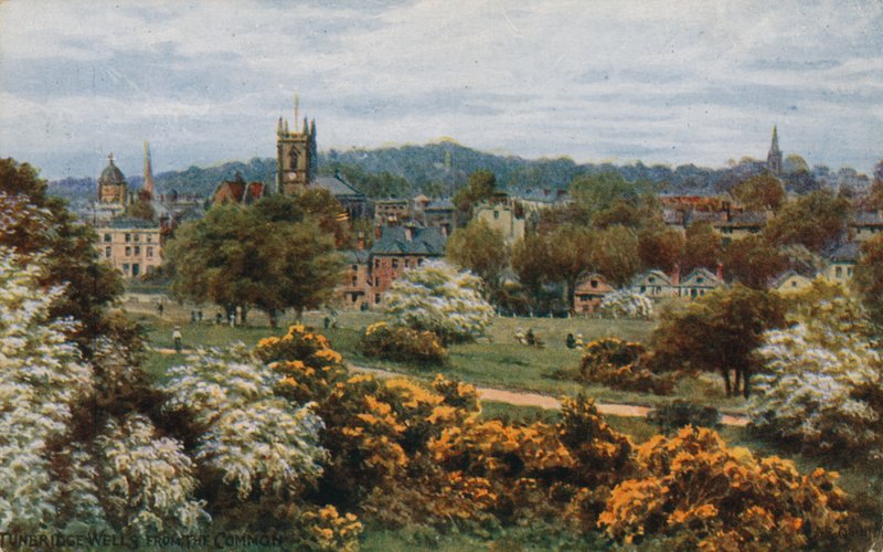 Tunbridge Wells fra The Common av Alfred Robert Quinton