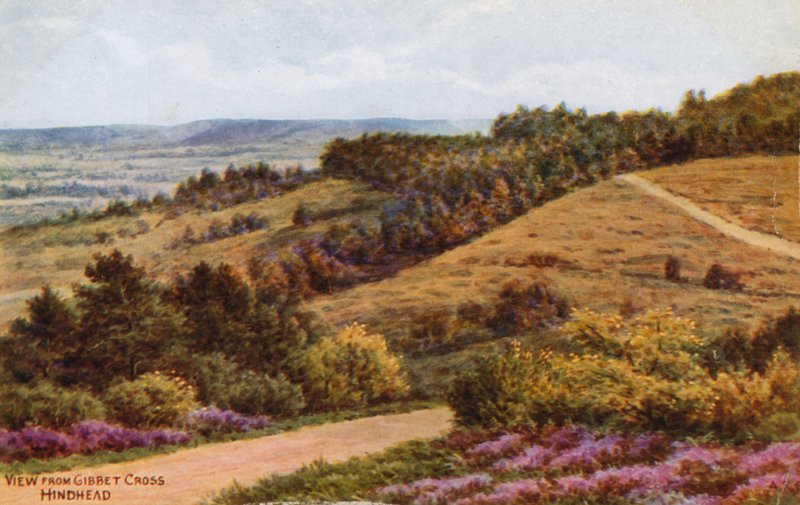 Utsikt fra Gibbet Cross, Hindhead av Alfred Robert Quinton