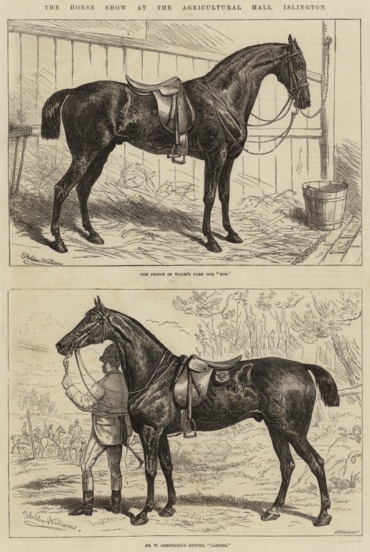 Horse Show på Agricultural Hall, Islington av Alfred Sheldon Williams
