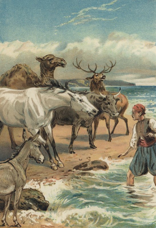 Arabian Nights: Historien om Beder og Giauhare av Alfred W. Cooper