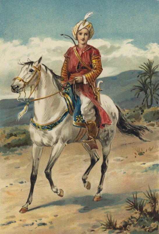 Arabian Nights: Historien om Codadad og hans brødre av Alfred W. Cooper