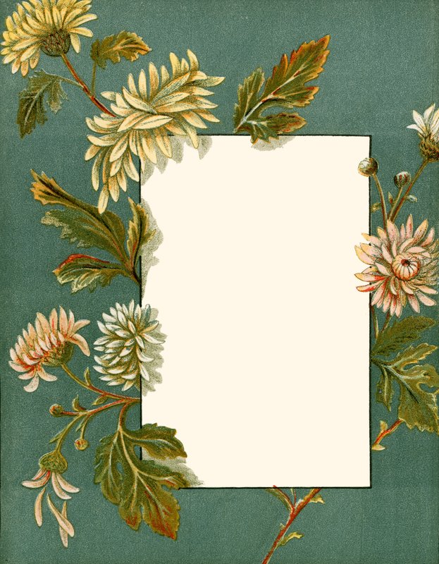 november av Alicia Amy Leith