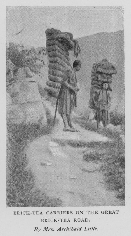 Brick-Tea Carriers på Great Brick-Tea Road (s/hvitt-bilde) av Alicia Little