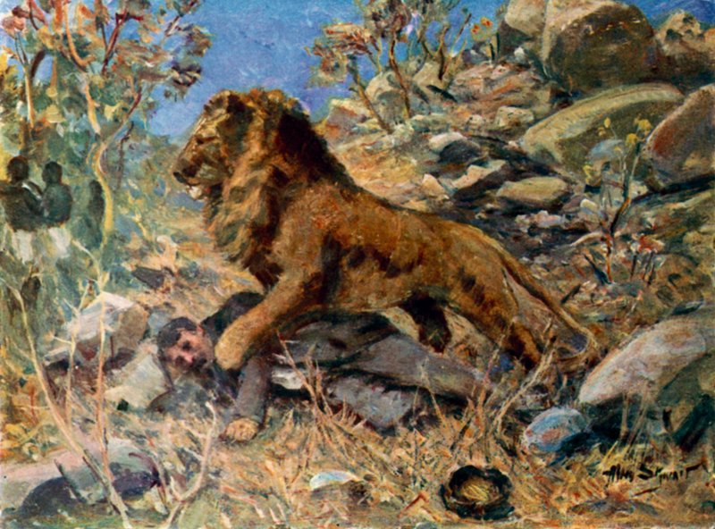 David Livingstone, Livingstone og løven (farge litho) av Allan (after) Stewart