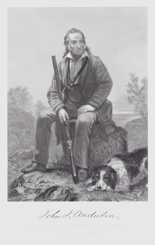 John James Audubon (gravering) av Alonzo (after) Chappel