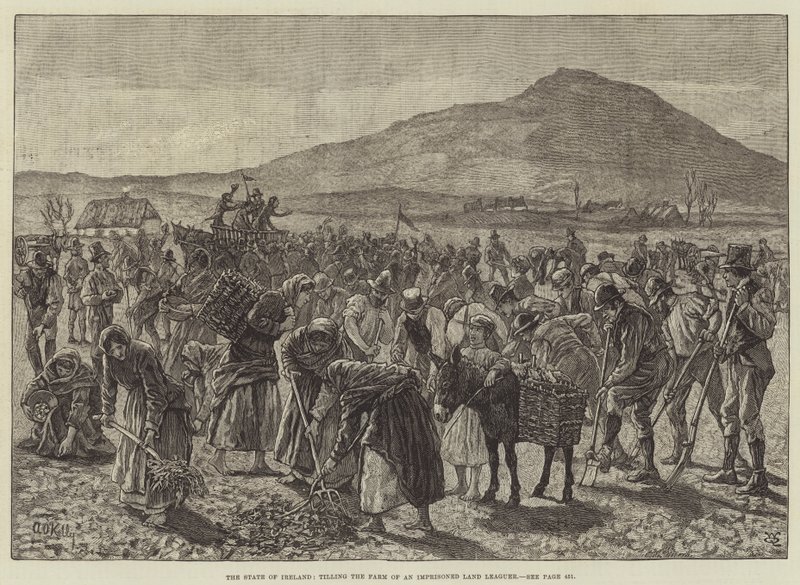 Staten i Irland, dyrker gården til en fengslet landbonde av Aloysius O