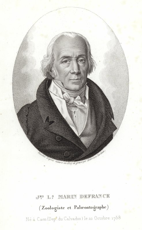 Jacques-Louis Marin fra Frankrike av Ambroise Tardieu
