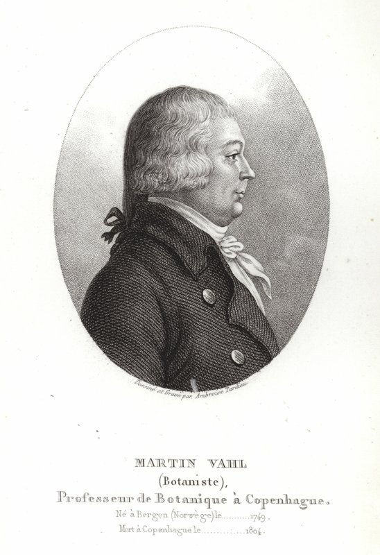 Martin Vahl av Ambroise Tardieu