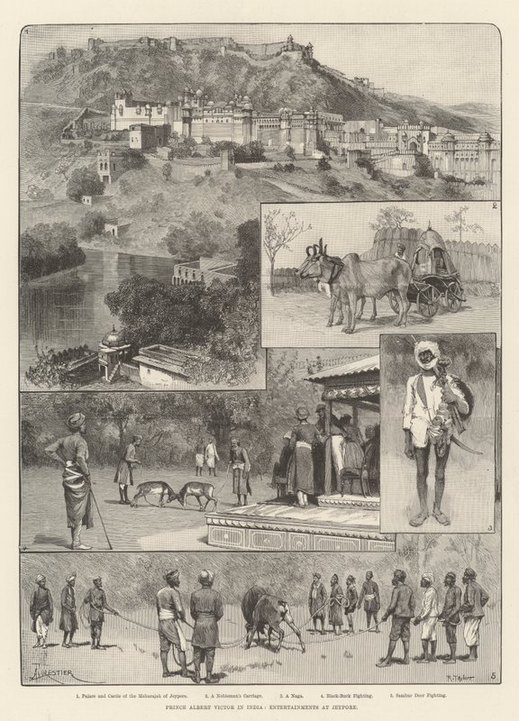 Prins Albert Victor i India, underholdning på Jeypore av Amedee Forestier