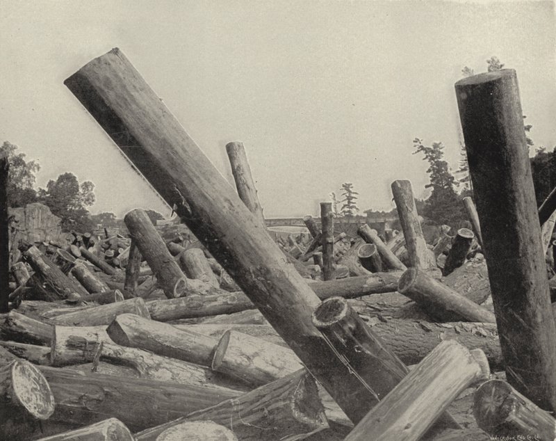 A Log Jam i St Croix River, Wisconsin (s/hvitt bilde) av American Photographer (after)