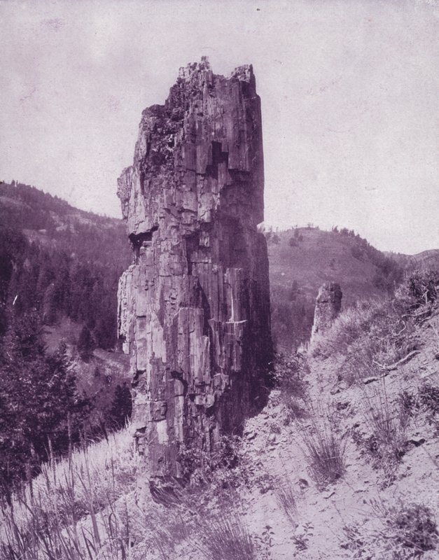 Et forsteinet tre i de dårlige landene i Dakota (s/hv-bilde) av American Photographer (after)