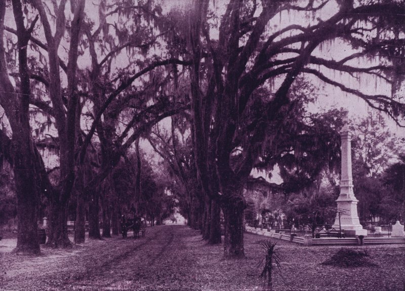 Bonaventure Cemetery, Savannah, Georgia (s/hvitt bilde) av American Photographer (after)