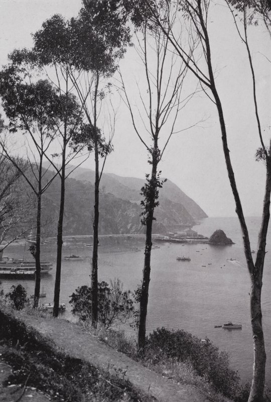 California: Bay of Avalon, Santa Catalina Island, magisk lekeland ved Stillehavet 30 miles fra det sørlige California fastlandet (s/hv-bilde) av American Photographer (after)
