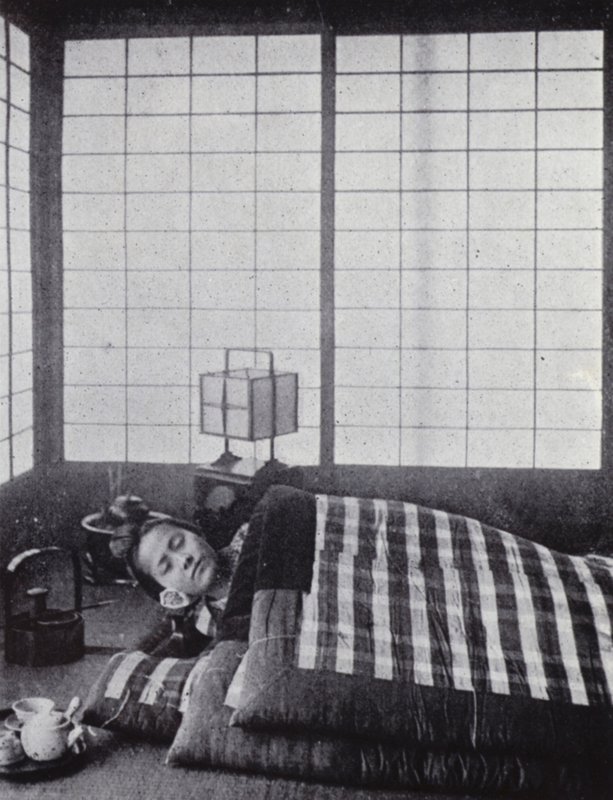 Jente sover mellom vatterte dyner med en trepute (s/hv-bilde) av American Photographer (after)