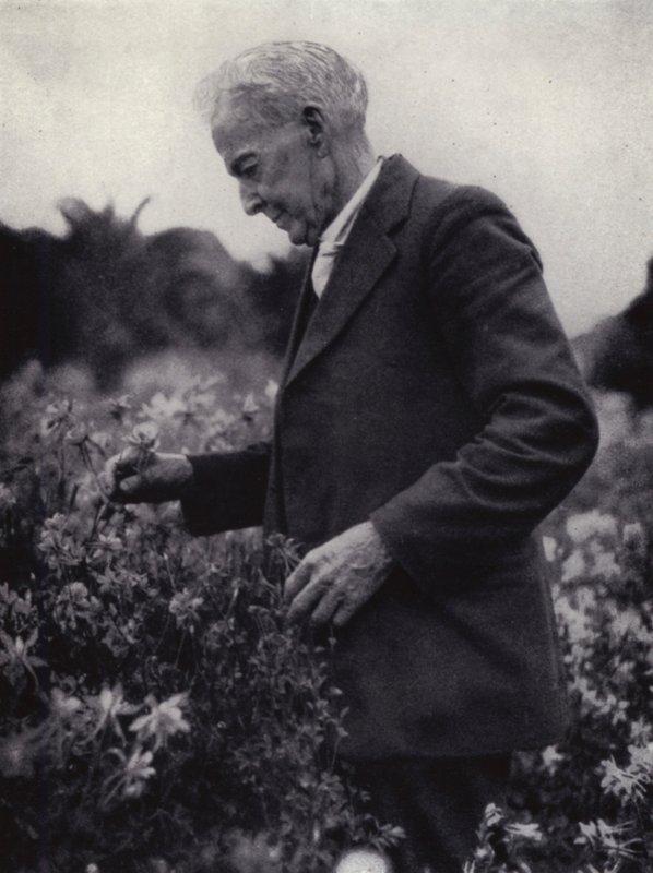 Luther Burbank blant blomstene hans (s/hvitt bilde) av American Photographer (after)