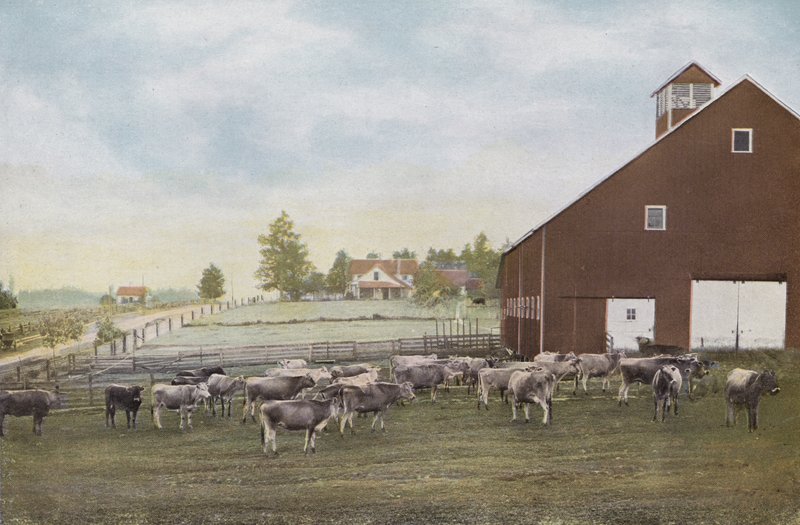Oregon: Meierifarm i Willamette Valley (bilde) av American Photographer (after)