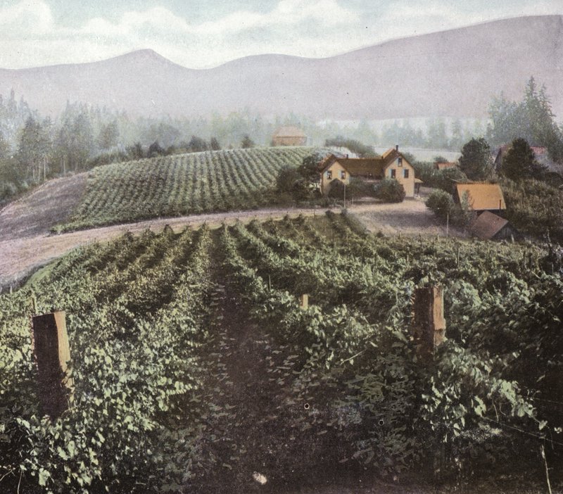 Oregon: Diversifisert jordbruk i Willamette Valley (bilde) av American Photographer (after)