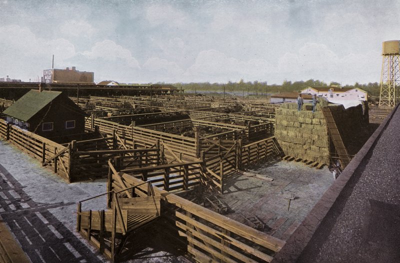 Oregon: Portland Union Stock Yards (bilde) av American Photographer (after)