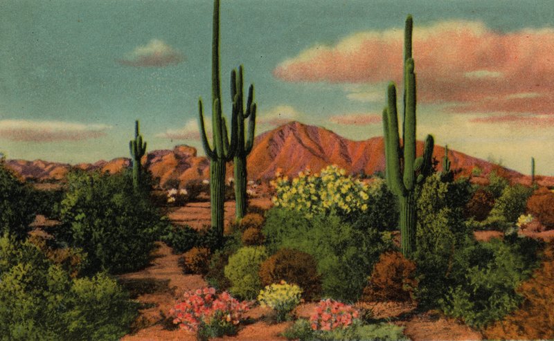 Phoenix, Arizona: Camelback Mountain and Desert (bilde) av American Photographer (after)
