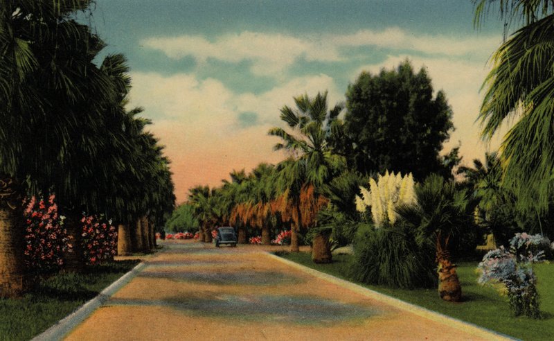 Phoenix, Arizona: Country Club Park (bilde) av American Photographer (after)