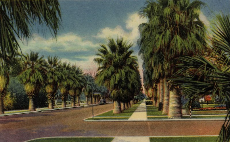 Phoenix, Arizona: North Central Avenue (bilde) av American Photographer (after)