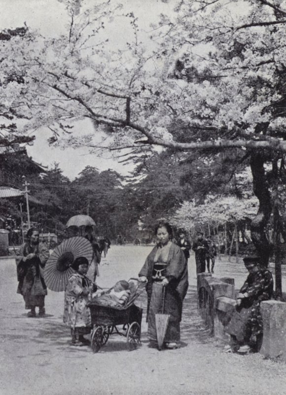 Under kirsebærblomsten i Shiba Park, Tokio (s/hvitt bilde) av American Photographer (after)