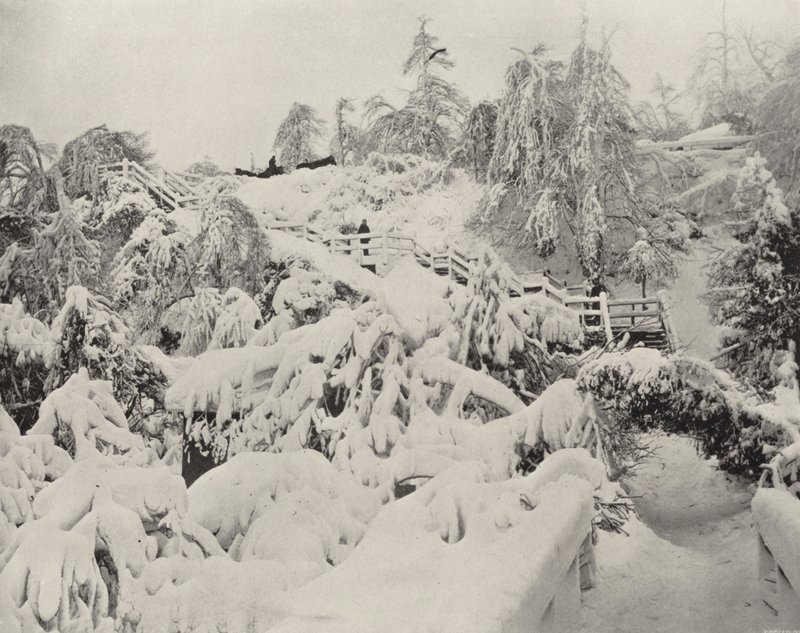 Vinterløvverk på Luna Island (s/hvitt bilde) av American Photographer (after)