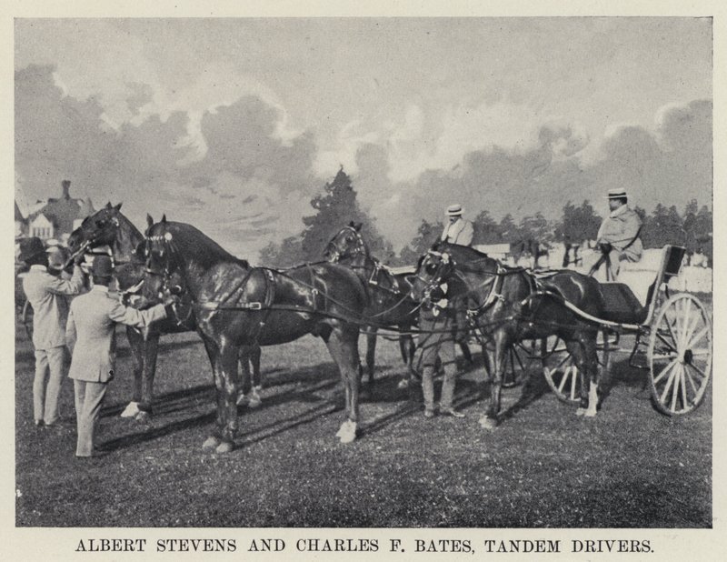 Albert Stevens og Charles F Bates, Tandem-sjåfører (s/hvitt-bilde) av American Photographer