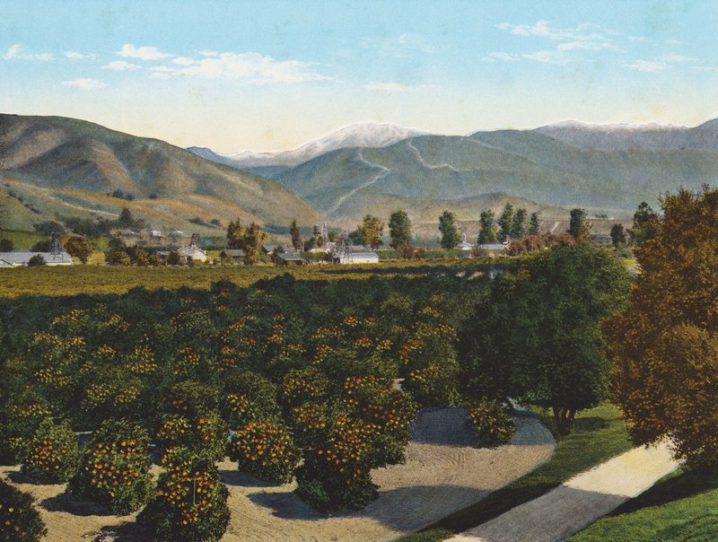 quot;Old Baldyquot; fra Pomona Valley (fargebilde) av American Photographer
