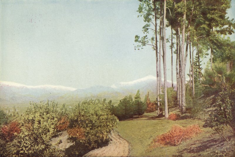 Old Baldy, fra Smiley Heights, California (farget bilde) av American Photographer