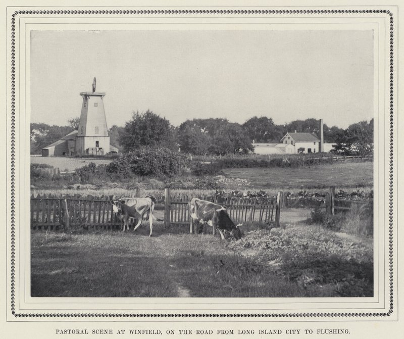 Pastoral scene på Winfield, på veien fra Long Island City til Flushing (s/hv-bilde) av American Photographer