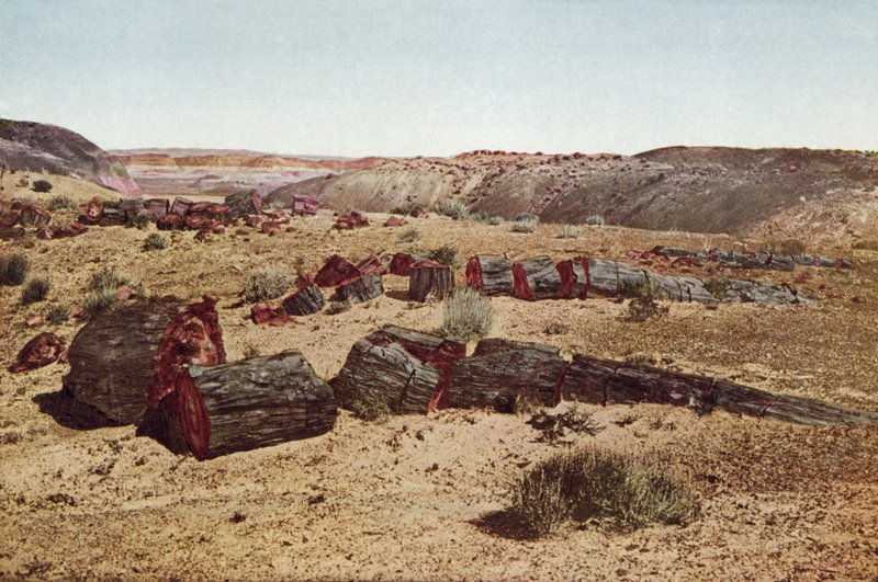 Petrified Forest, Arizona (farget bilde) av American Photographer